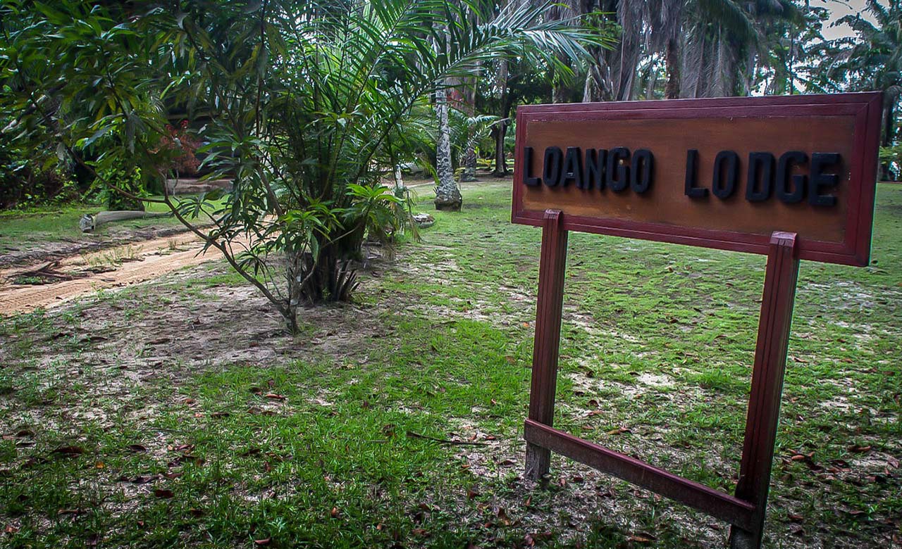 Jour 2 : Libreville – Port Gentil - Loango